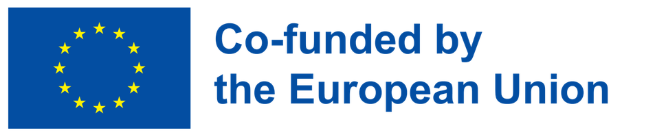 Co-funded by the European Union